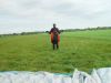 dsc05226.jpg