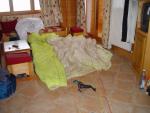 dsc00688.jpg