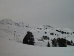 dsc00752.jpg