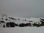 dsc00753.jpg