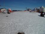 dsc00856.jpg