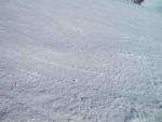 img_1491.jpg