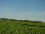 dsc00139.jpg