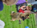 dsc00200.jpg