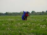 dsc00216.jpg