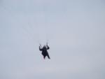 dsc00335.jpg