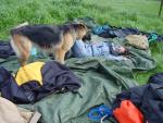 dsc00353.jpg