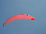 dsc00650.jpg