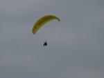 dsc00978.jpg