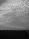 dsc01009_g.jpg