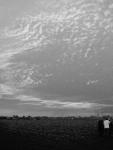 dsc01009_i_i.jpg