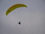 dsc01461.jpg