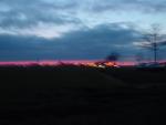 dsc01903.jpg