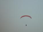 dsc00239.jpg