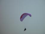 dsc00246.jpg