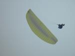 dsc00253.jpg