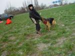 dsc00310.jpg