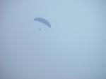dsc00331.jpg