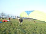 dsc00619.jpg