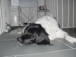 dsc02282.jpg