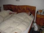 dsc02310.jpg