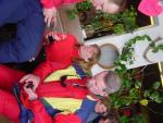 dsc02370.jpg