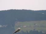 dsc02457.jpg