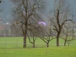 dsc02458.jpg