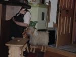 dsc02511.jpg