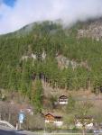 dsc02519.jpg