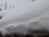 dsc00396.jpg