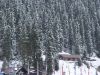 dsc00400.jpg