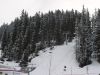dsc00401.jpg