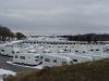 dsc00415.jpg