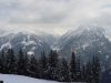 dsc00450.jpg