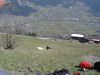 dsc00503.jpg
