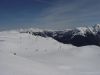 dsc00530.jpg