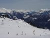 dsc00531.jpg
