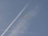 dsc00540.jpg