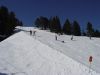 dsc00631.jpg
