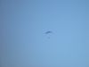 dsc04094.jpg