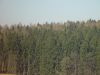 dsc04173.jpg