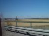 dsc04187.jpg