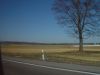 dsc04188.jpg