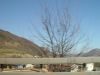 dsc04200.jpg