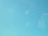dsc04203.jpg