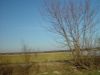 dsc04220.jpg