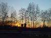 dsc04239.jpg