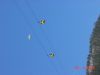 dsc01066.jpg