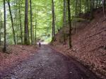 dsc00761.jpg